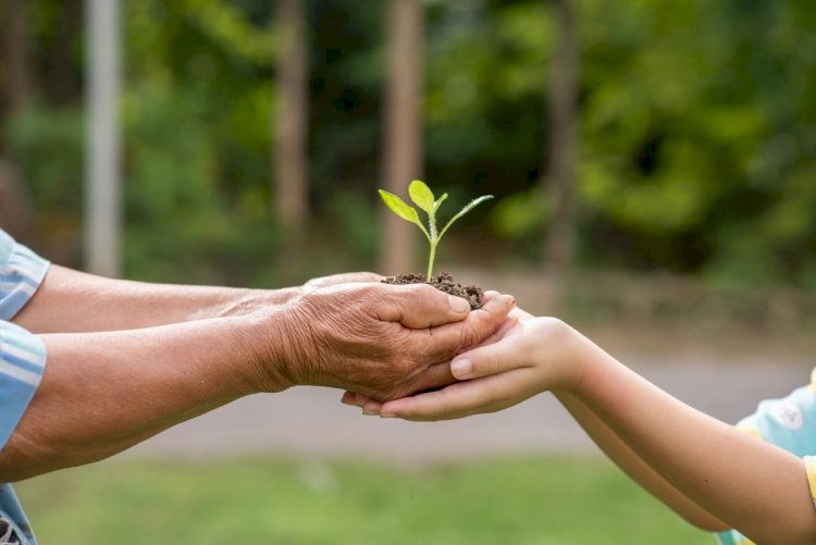 Programa seleciona projetos em Araguari e Indianápolis