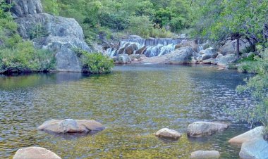 Justiça afasta  gestor de Parque por improbidade