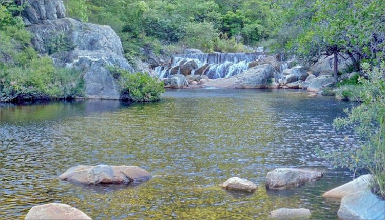 Justiça afasta  gestor de Parque por improbidade