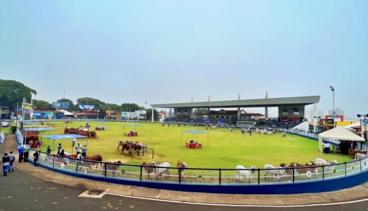 ExpoZebu movimenta mais de R$ 350 milhões