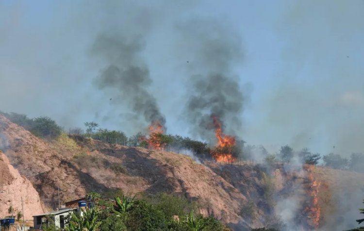 Incêndios florestais aumentam no Vale do Aço