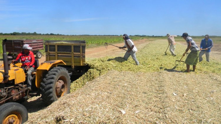 Sudene reserva R$ 1,9 bi do FNE para Minas Gerais