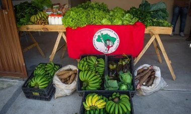 MST inaugura loja em Juiz de Fora