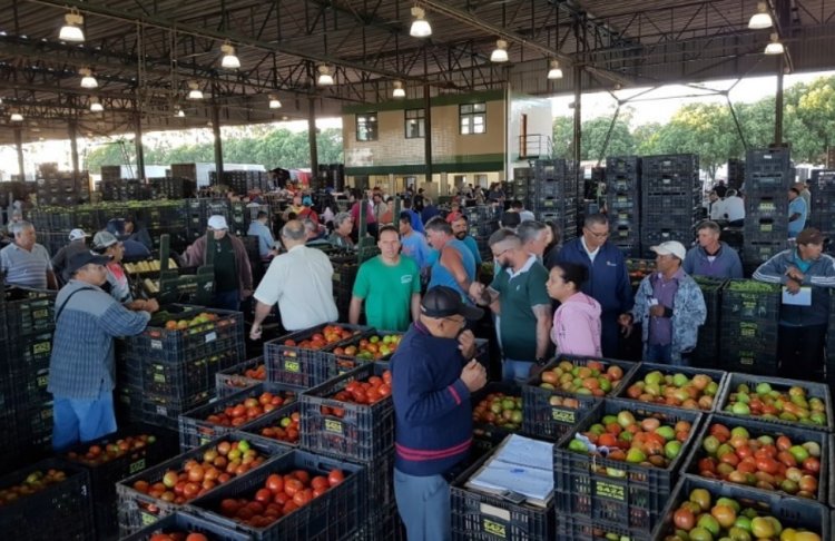 Hortifrútis têm aumento de 271% no Ceasa de Uberlândia