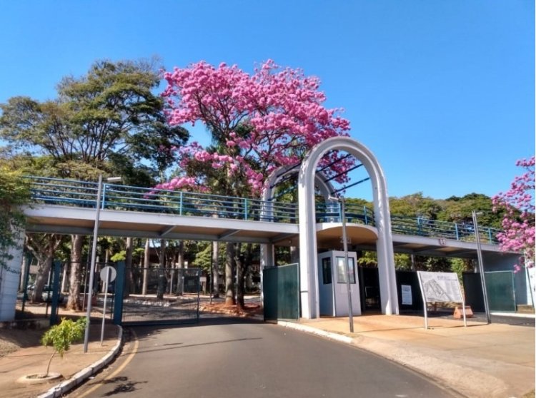 Universidade de Uberlândia obtém nota máxima no IGC