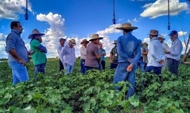 Israelenses visitam irrigação do Norte de Minas
