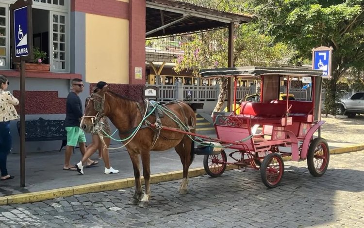 Charretes proibidas em São Lourenço