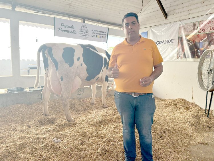 Vaca quebra recorde mundial de produção