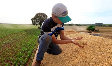 Safra de grãos é recorde em Minas