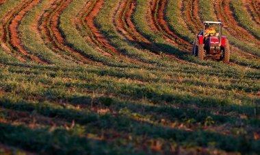 Busca pelo crédito rural cresce 14% em Minas