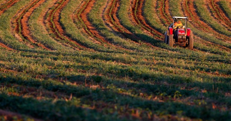 Busca pelo crédito rural cresce 14% em Minas