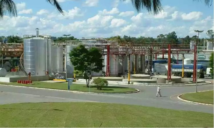 Unilever investe R$ 80 mi em Pouso Alegre