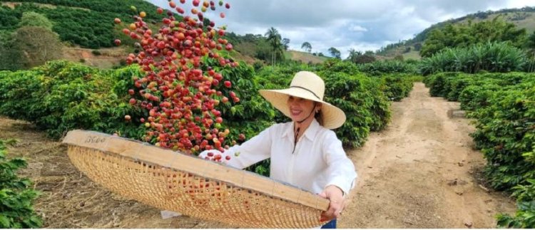 Café transforma vidas em Caratinga