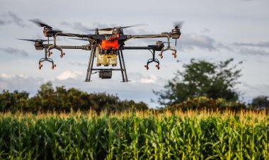 Senar Play abre matrículas para mais de 200 cursos e impulsiona capacitação no campo