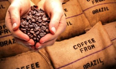 Varginha lidera exportações em Minas