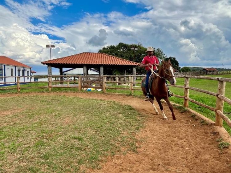 Programa do Senar, em parceria com o SPR Sete Lagoas e a ABCCMM, transforma a vida de tratador de cavalos