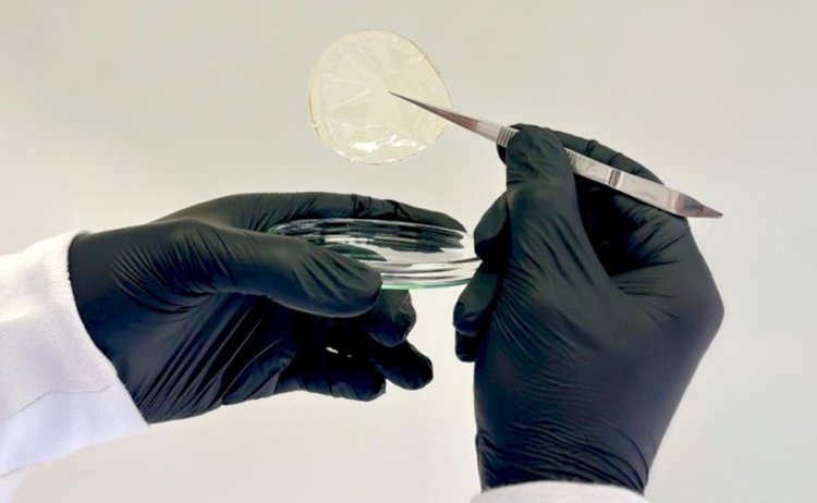 UFV cria curativo biodegradável