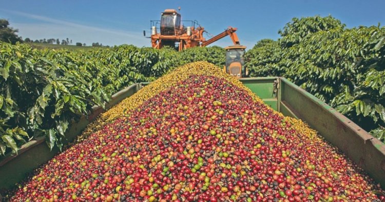 Exportações mineiras para os EUA caem 49,5%