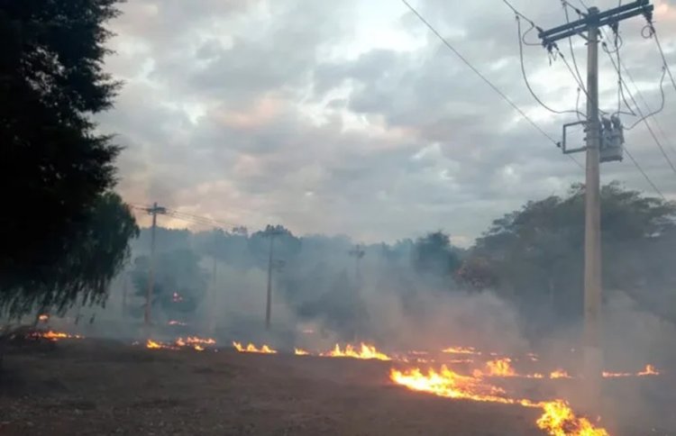Queimadas deixam 11 mil sem energia