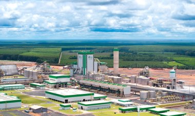 Fábrica impulsiona produção de celulose