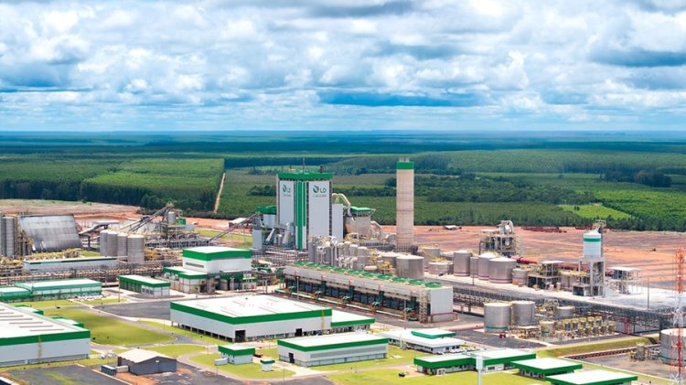 Fábrica impulsiona produção de celulose