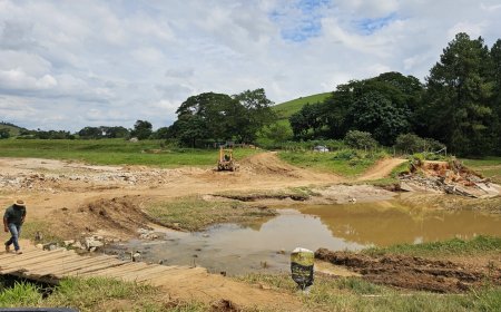 Chuvas na Zona da Mata: produtores de Ubá contabilizam os prejuízos