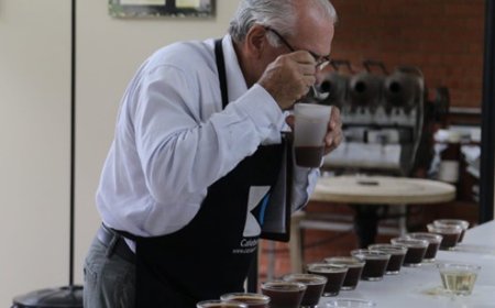 Novo protocolo transforma avaliação dos cafés especiais no Brasil