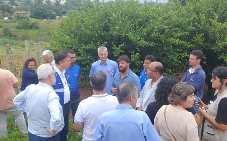 O potencial da vitivinicultura de inverno em MG