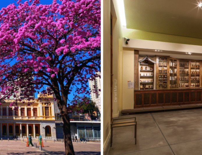 Feira da Estação realiza edição especial de Dia das Mães no SESI Museu de Artes e Ofícios