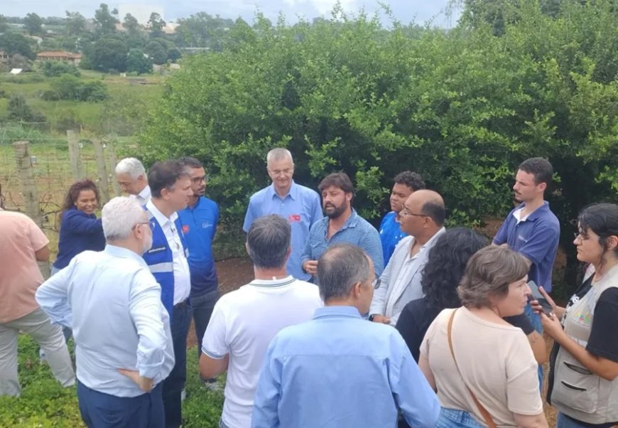 O potencial da vitivinicultura de inverno em MG