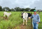 Agro + Verde recupera 3.300 hectares no oeste de Minas Gerais