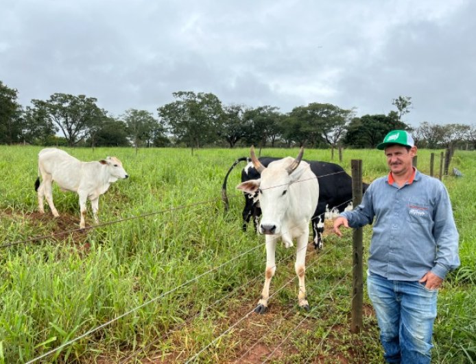 Agro + Verde recupera 3.300 hectares no oeste de Minas Gerais