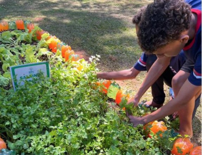 Agro na Escola une educação e prática no campo em Belo Oriente