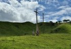 Eletrificação rural recebe investimentos