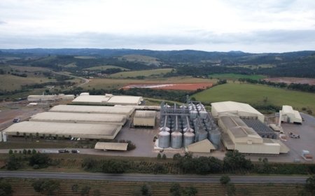 Cooxupé lidera ranking Agropecuário Mineiro