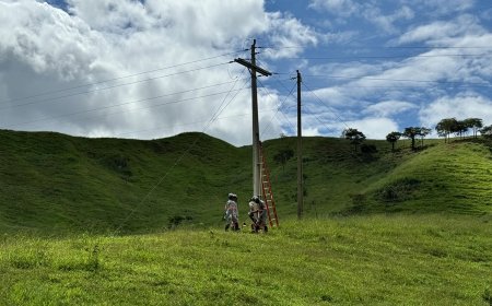 Eletrificação rural recebe investimentos