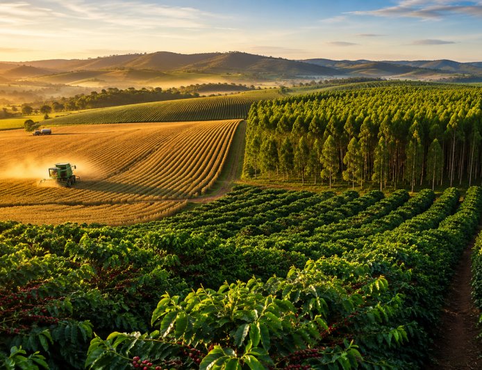 Agro é artilheiro da economia de Minas