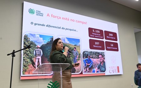 Safra de café em Minas Gerais deve alcançar 33,4 milhões de sacas em 2026