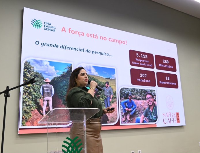 Safra de café em Minas Gerais deve alcançar 33,4 milhões de sacas em 2026